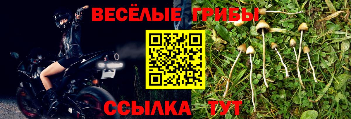 Псилоцибиновые грибы GOLDEN TEACHER  Вход с VPN  Обь 